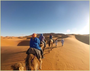 desert tour Agadir or Taghazout