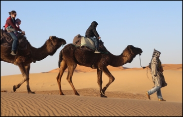 4 Days desert tour Agadir or Taghazout to Marrakech